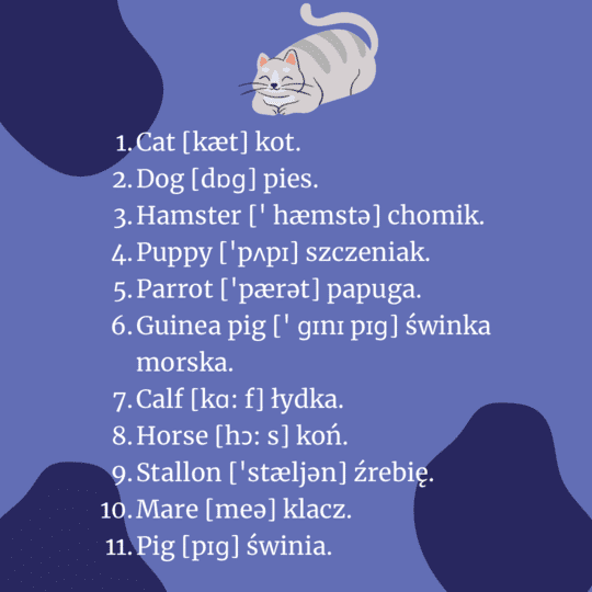 animal-names-in-latin-english